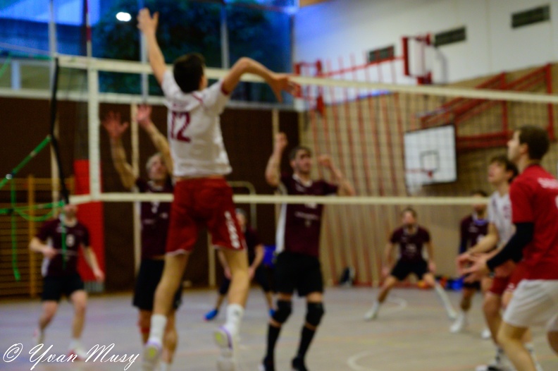 DSC_1655.jpg