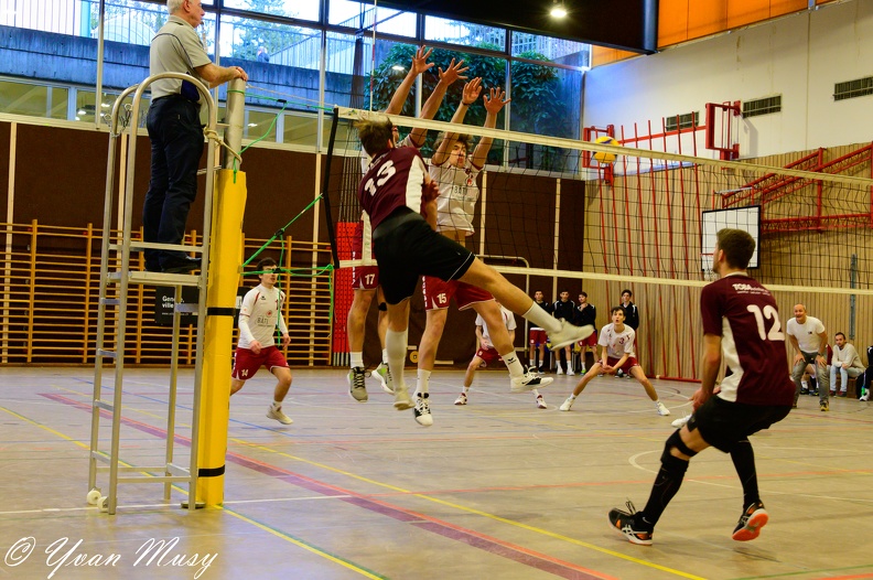 DSC_1598.jpg