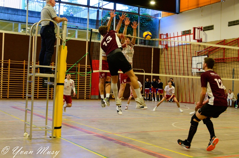 DSC_1597.jpg