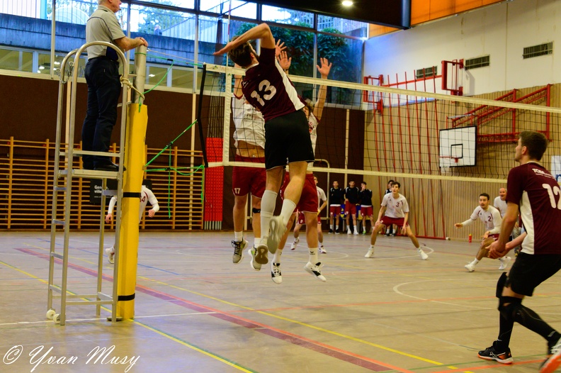 DSC_1595.jpg