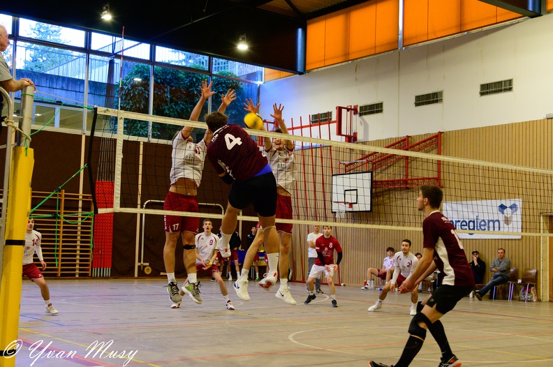 DSC_1581.jpg