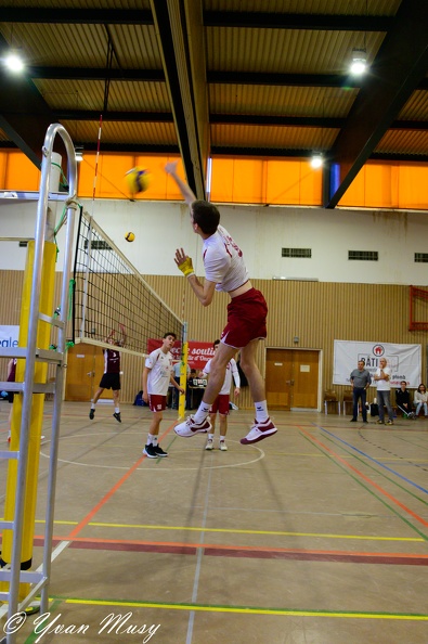 DSC_1481.jpg