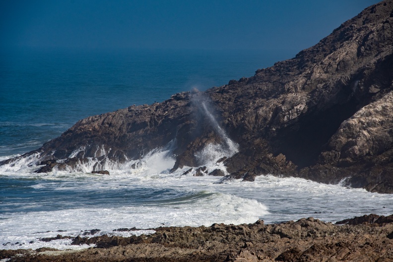 DSC_7976.jpg