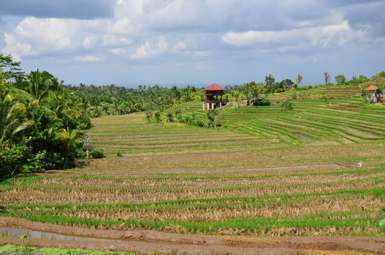 Bali 2015