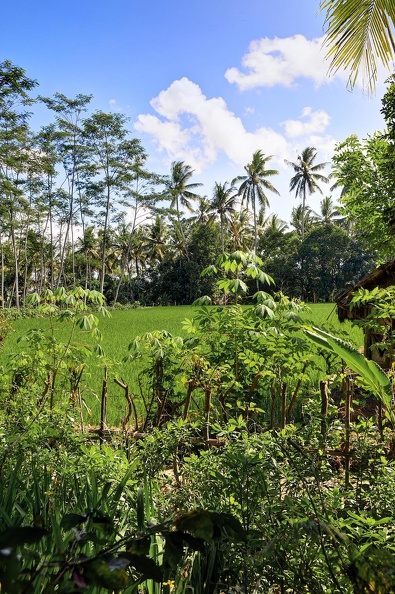 Bali, Sanur