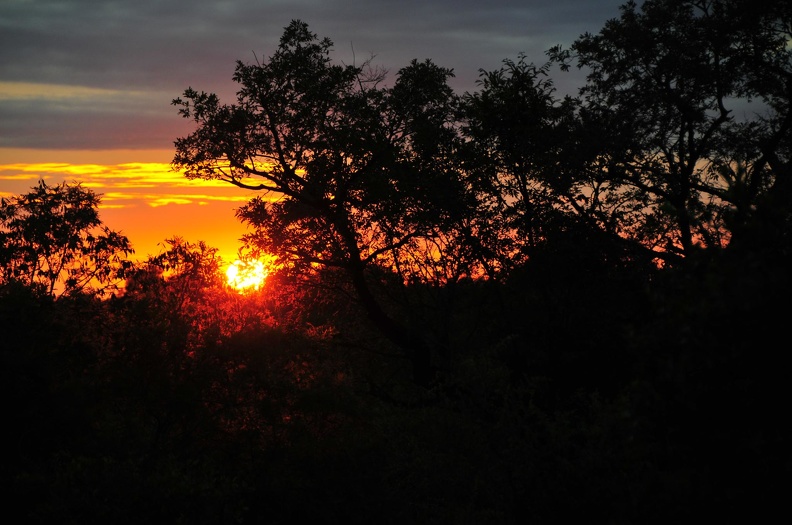 Afrique du Sud