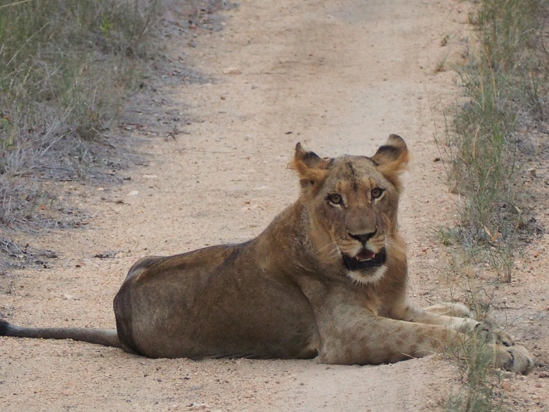 Afrique du Sud