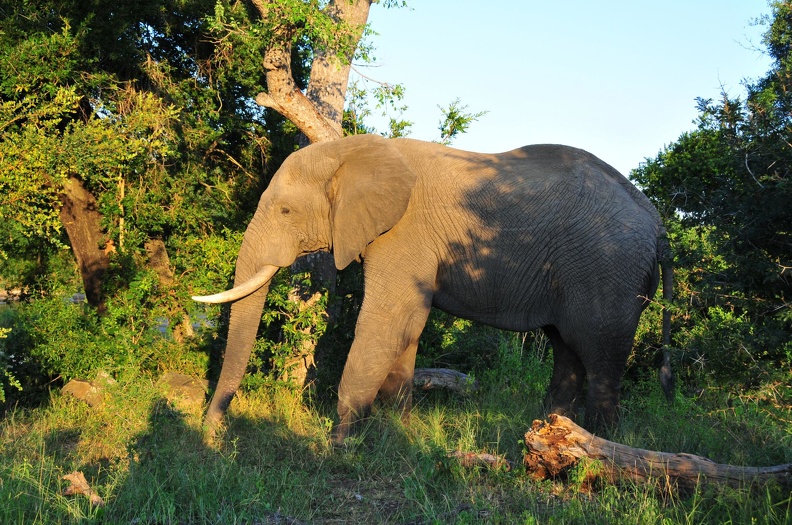 Afrique du Sud