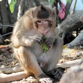 Thailand 2010