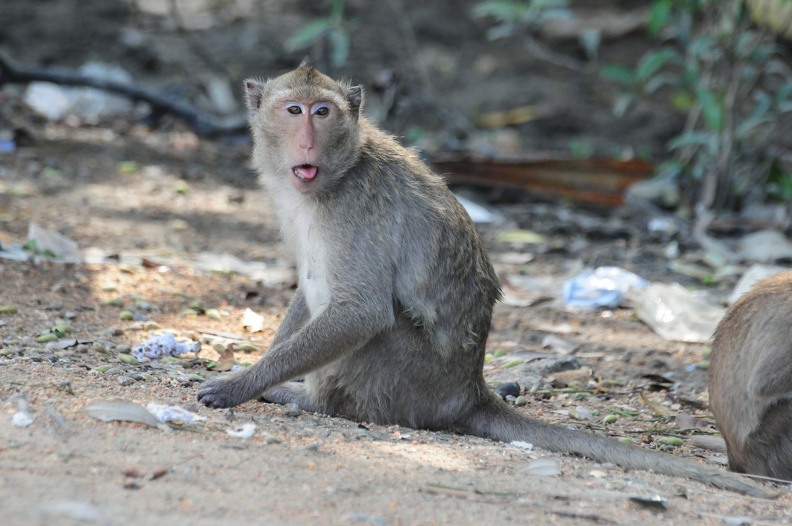 Thailand 2010