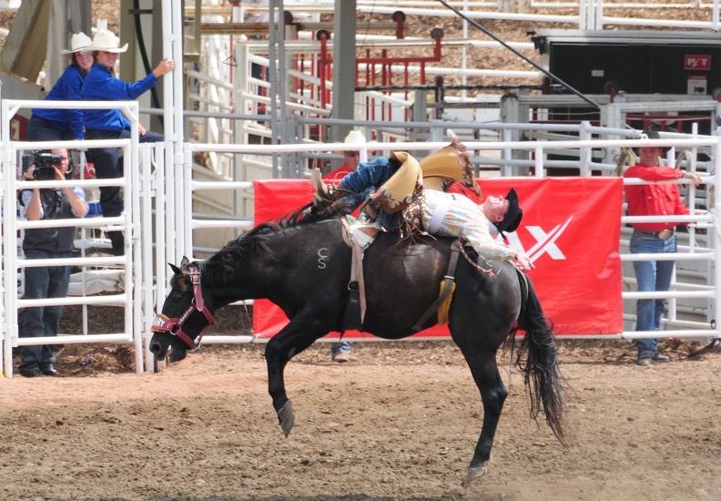 Rodeo Calgary 2008, Stampede