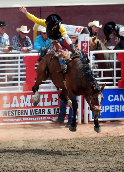 Rodeo Calgary 2008, Stampede