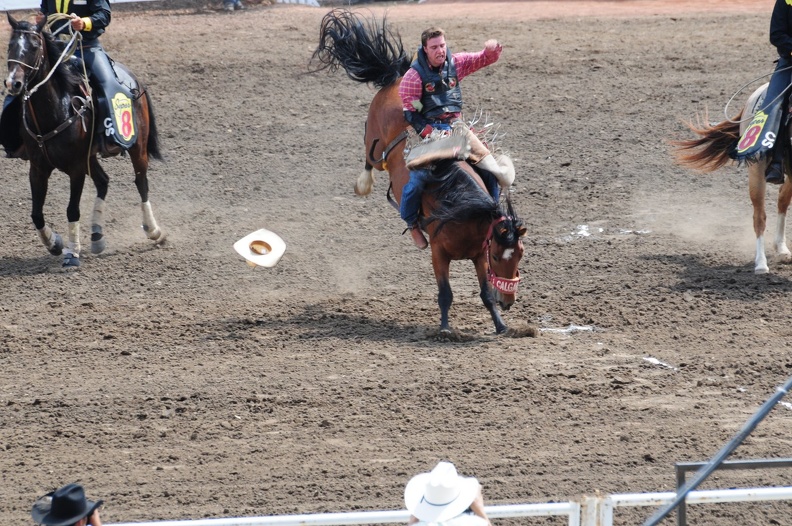 Rodeo Calgary 2008, Stampede