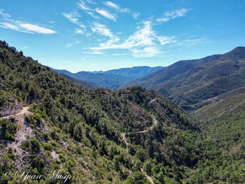 dji fly 20230515 113444 331 1684143356067 photo
